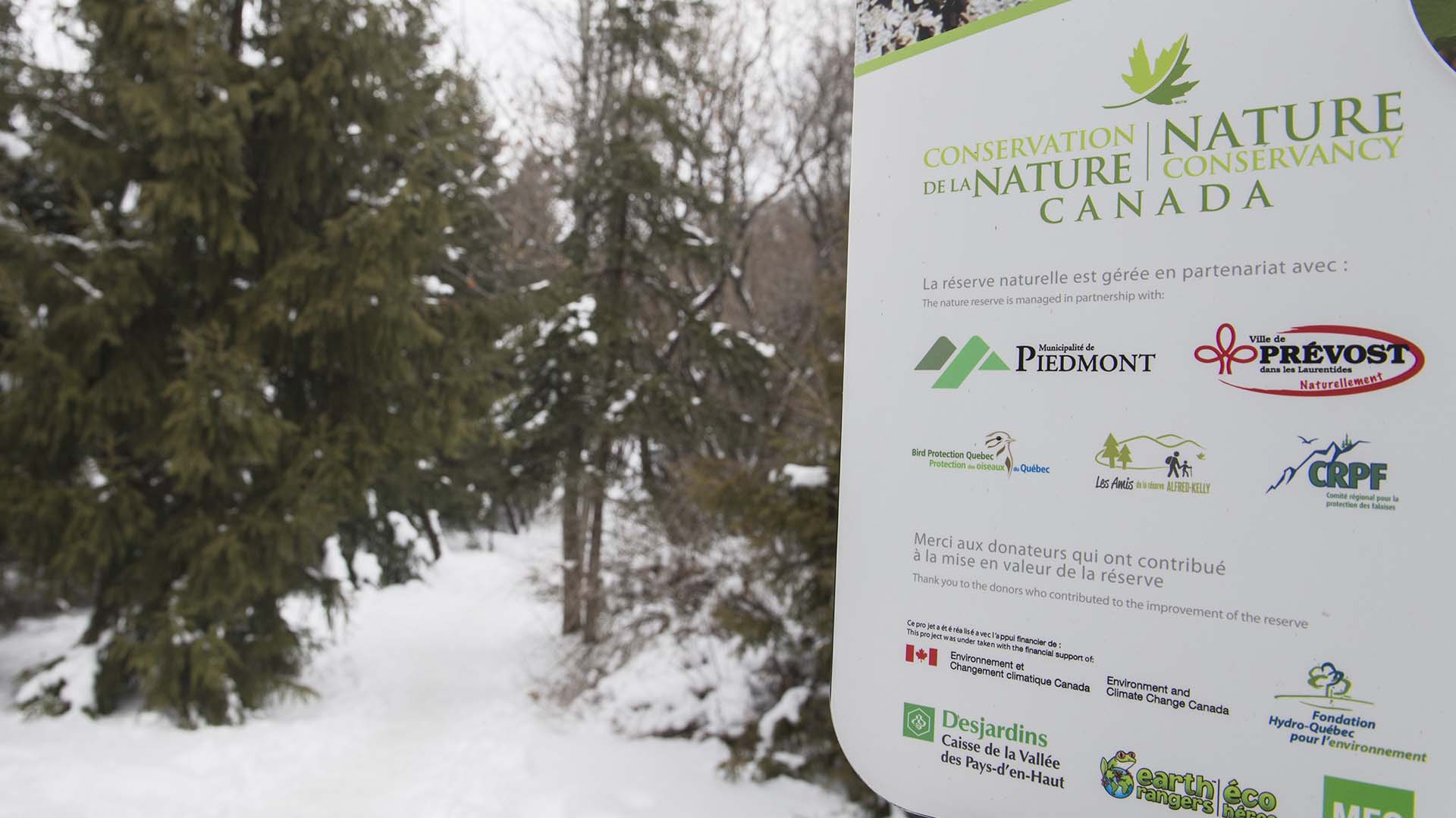 Conservation de la nature Canada choisi pour accueillir une rencontre internationale d’envergure  en 2024.
