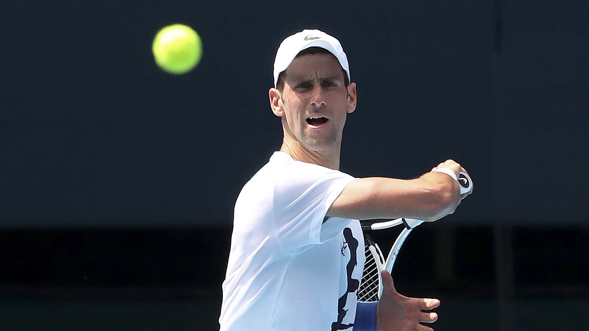 Novak Djokovic à l'entraînement à Melbourne, en marge des Internationaux de tennis d'Australie, le 11 janvier 2022.