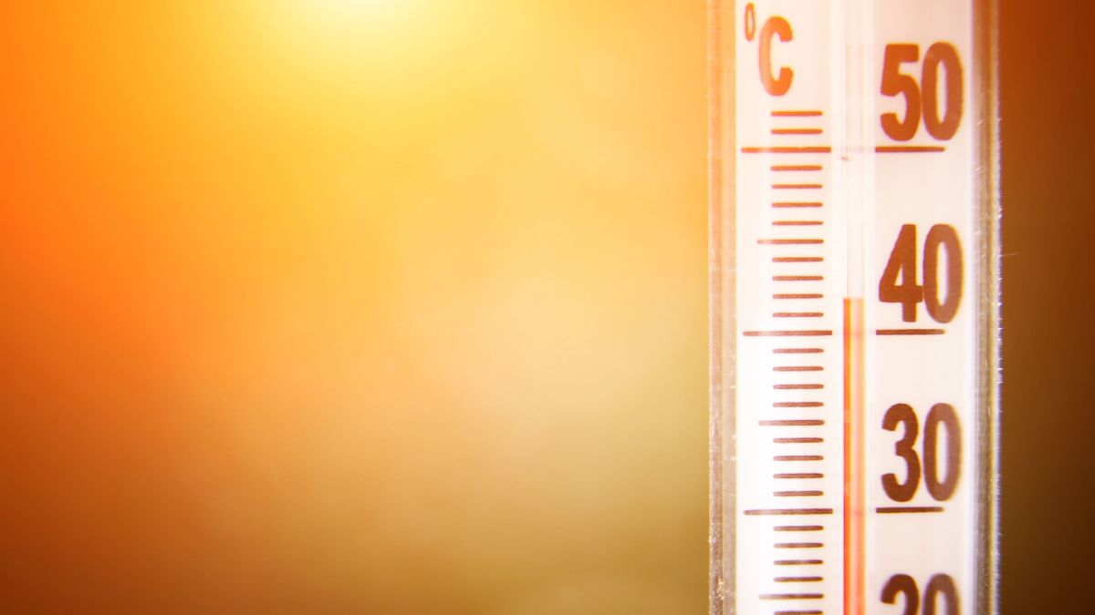 Un avertissement de chaleur est en vigueur en Outaouais, à Ottawa et dans l'Est ontarien.