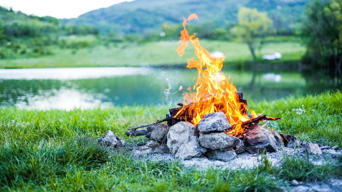 Depuis le début de la saison, 138 feux de forêt ont touché 114,2 hectares au Québec.