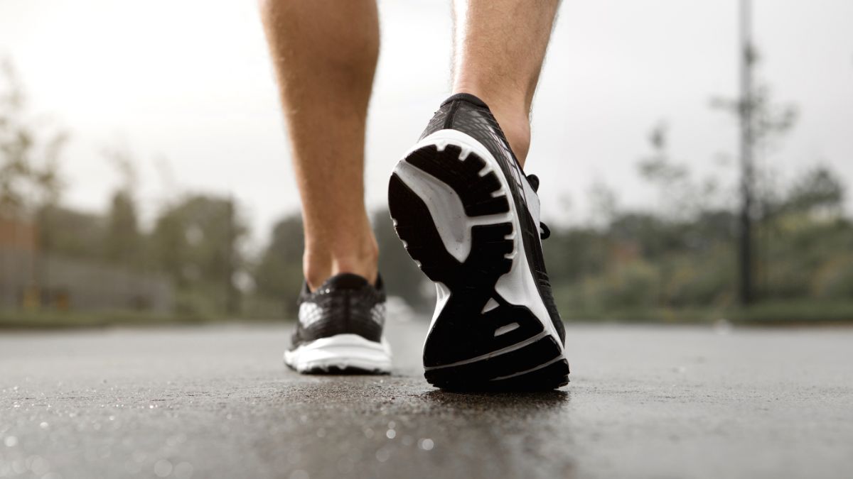 The study found that running can keep the brain and nerve cells healthy.