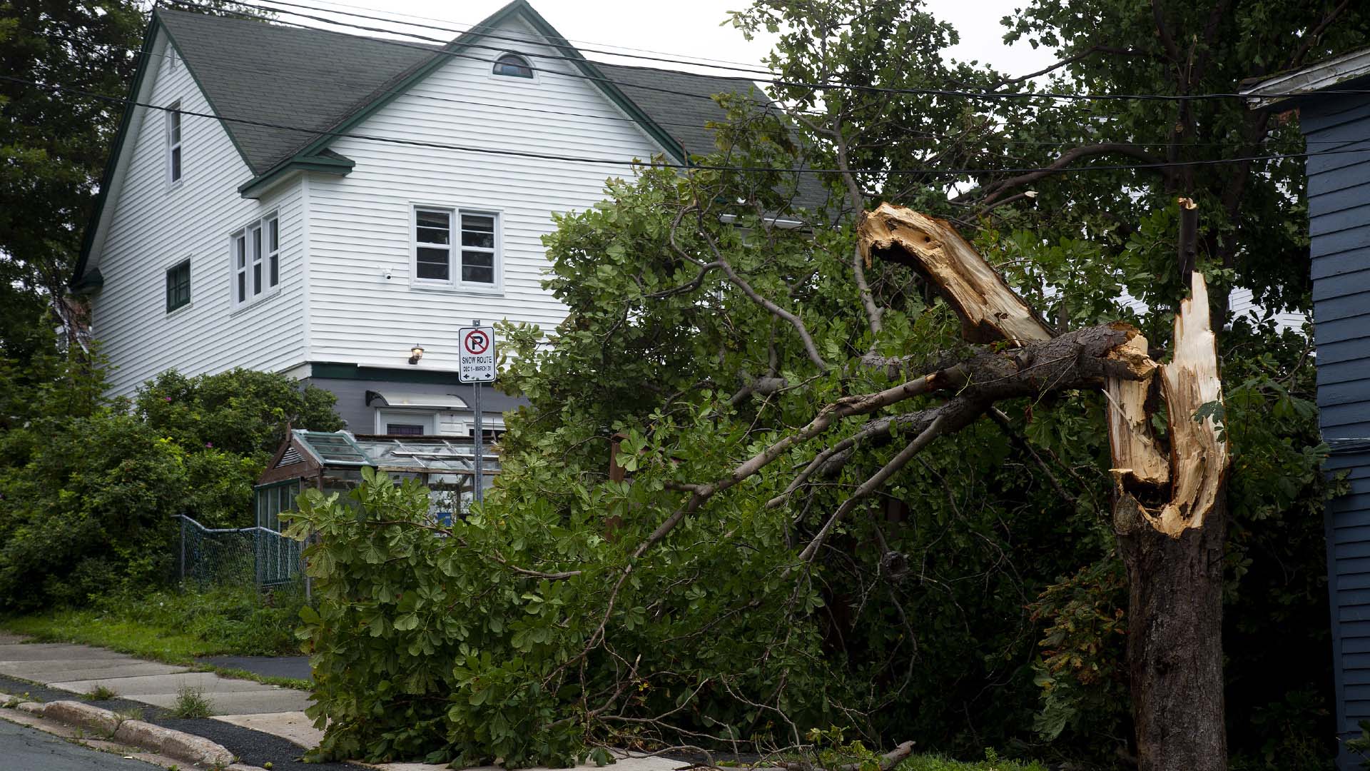 Sur cette image: des dégâts causés par l'ouragan Larry, à Terre-Neuve en 2021. 