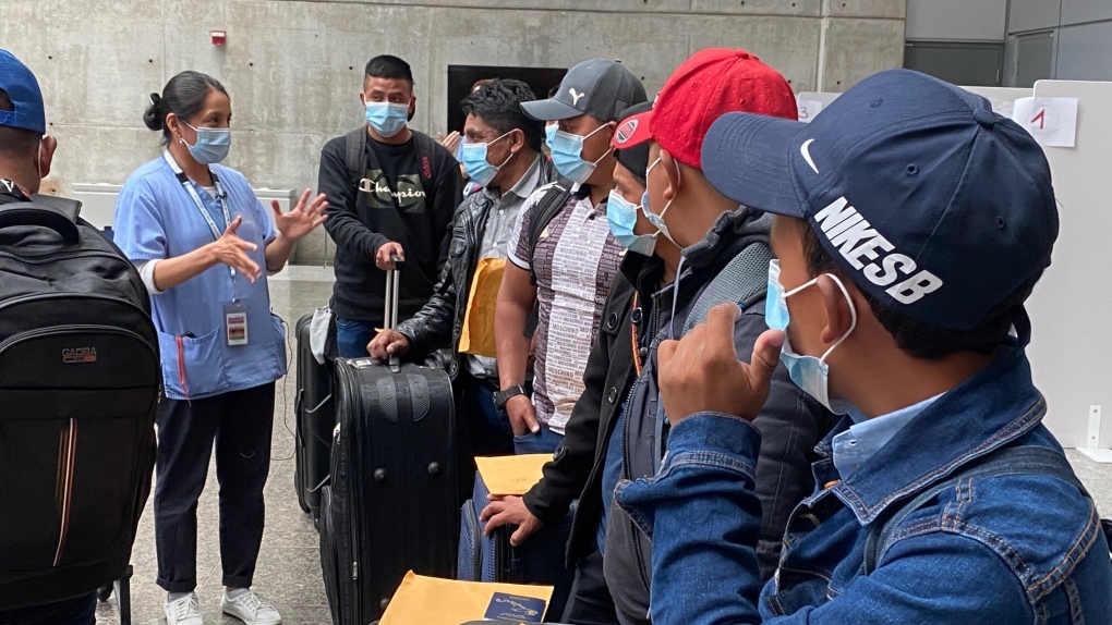 Des travailleurs saisonniers étrangers sont accueillis à l'aéroport par des travailleurs de la santé.