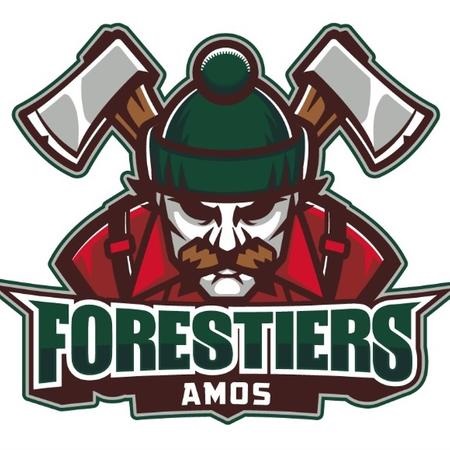 Les Forestiers d'Amos au hockey midget AAA
