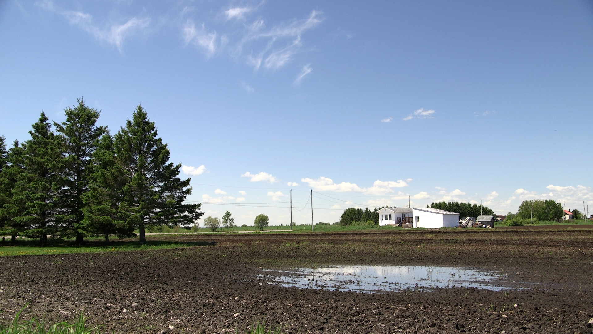 Les champs sont gorgés d'eau au Lac-Saint-Jean.