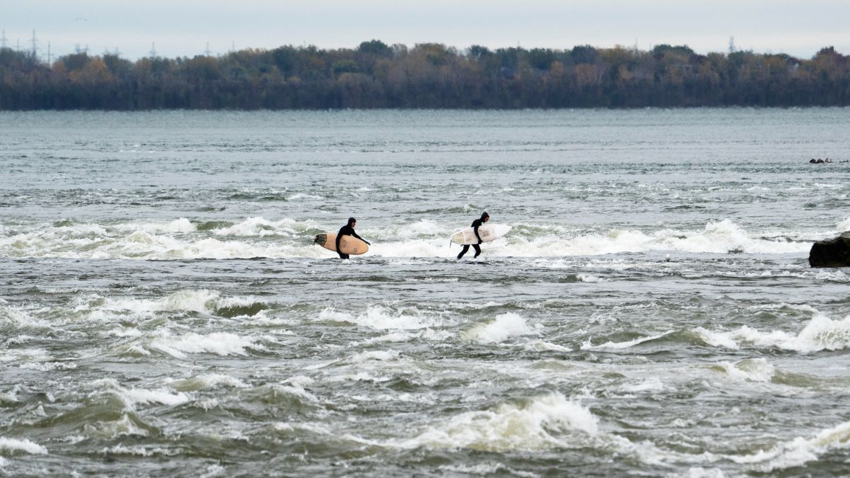 Des surfeurs dans les rapides de Lachine.