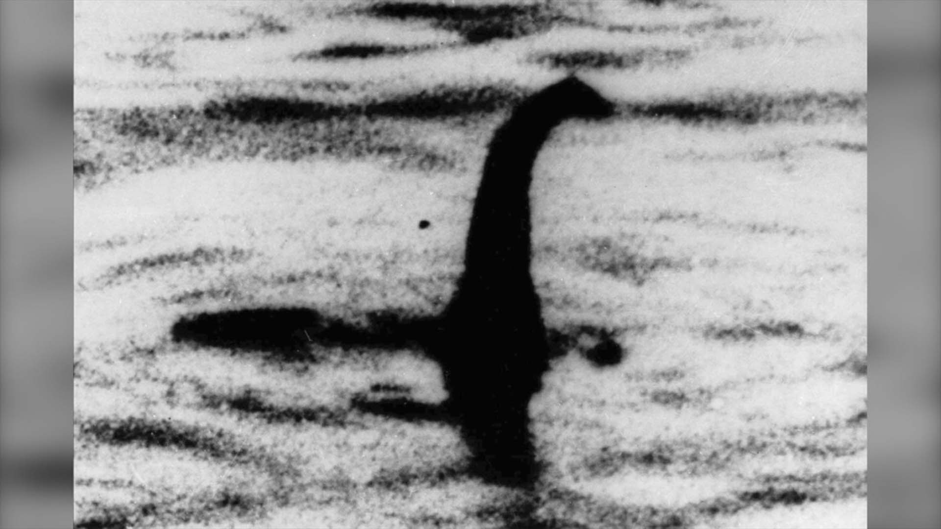 Cette photo d'archive non datée montre une forme ombragée que certains considèrent comme le monstre du «Loch Ness» en Écosse.