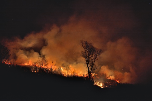 Un mois d'août plutôt calme pour la Société de protection des forêts contre le feu.