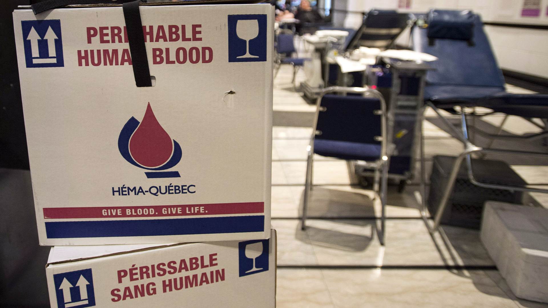 Santé Canada a approuvé, mardi, la demande d'Héma-Québec en matière de don de sang fondé sur une approche plus inclusive face aux donneurs.