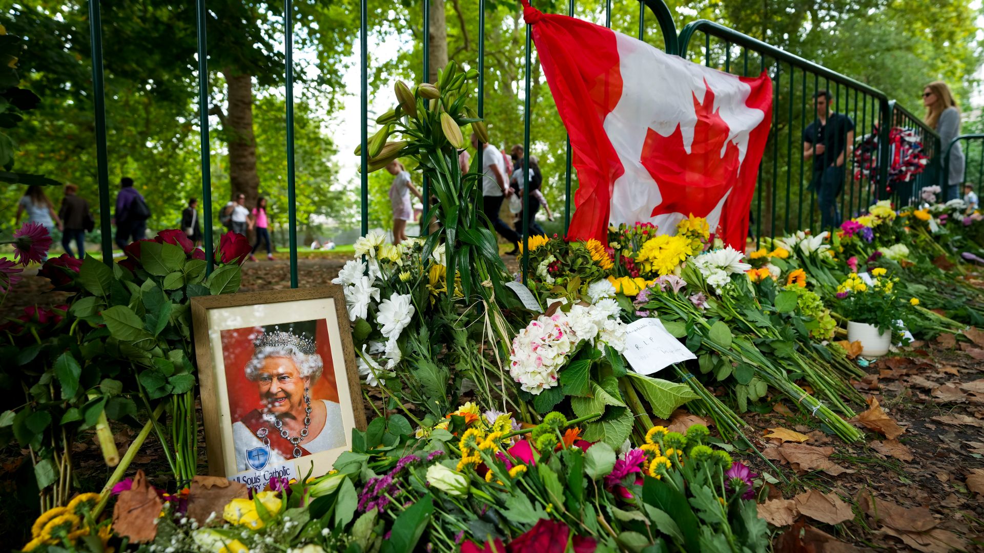 Une rangée de fleurs et un drapeau canadien près du palais de Buckingham à Londres.