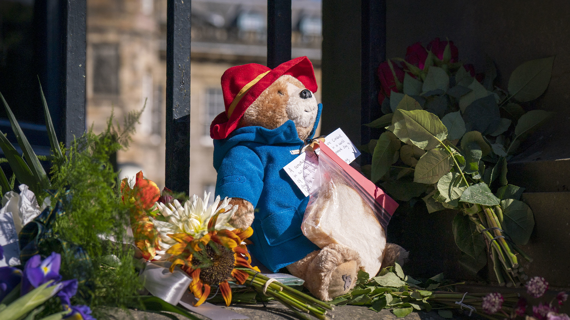 Plus de 1000 toutous de l'ours Paddington et autres peluches laissés en hommage à la défunte reine Élisabeth II, lors de rassemblements à Londres et à Windsor, seront remis à un organisme de bienfaisance pour enfants.