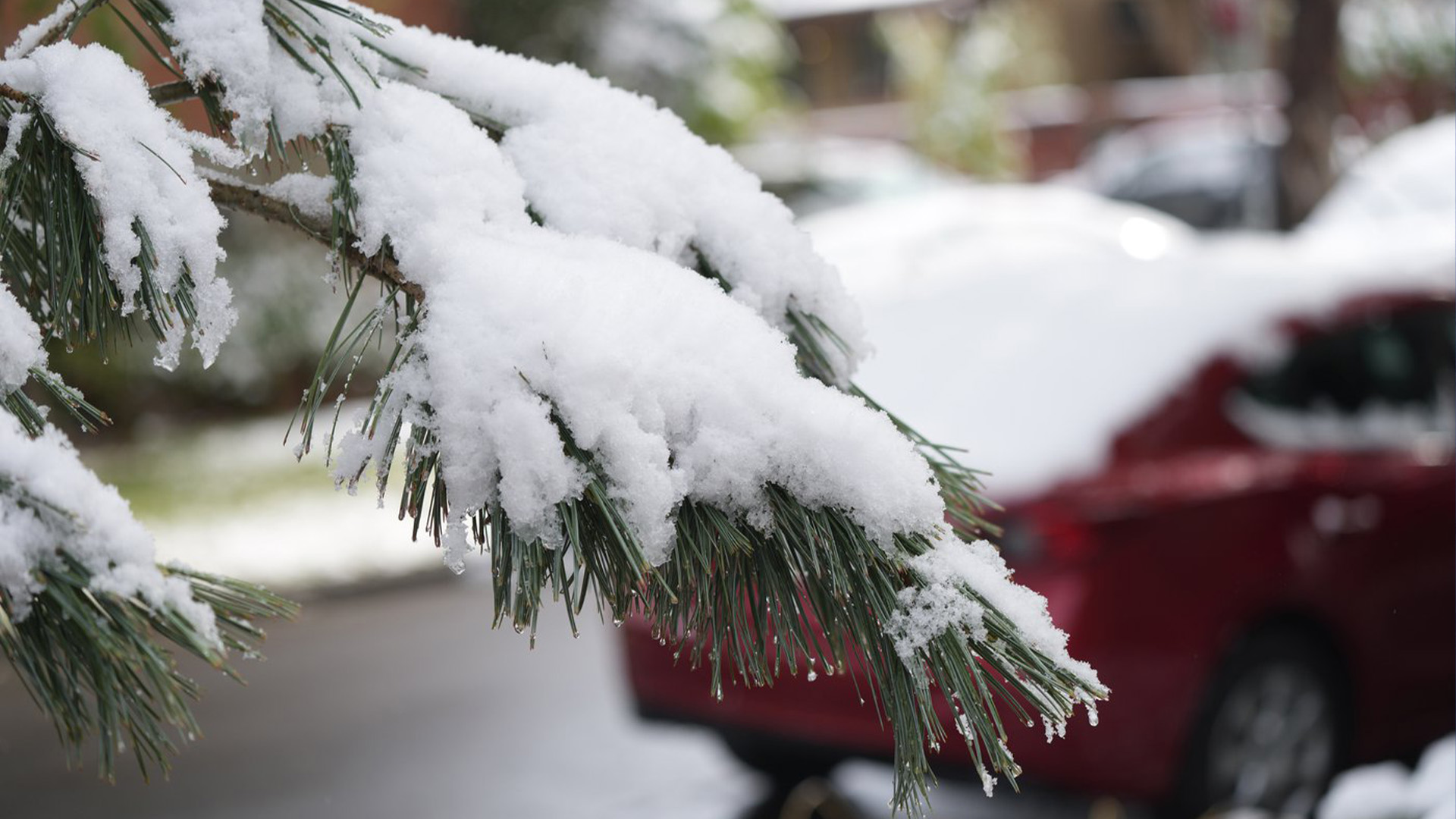 La neige qui a surpris de nombreuses personnes dans le sud de l'Alberta samedi et qui a frappé la Saskatchewan dimanche devrait se poursuivre dans l'ouest et le nord du Manitoba ce lundi.