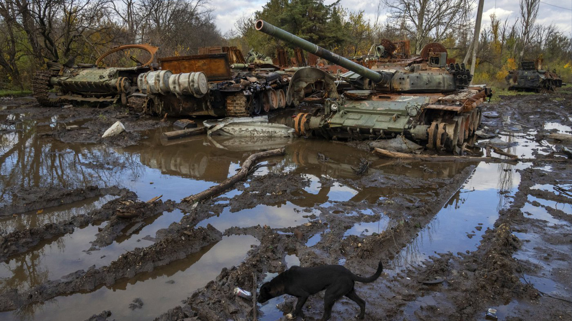 Des chars russes endommagés lors de récents combats sont vus près du village récemment repris de Kamianka, dans la région de Kharkiv, en Ukraine, le dimanche 30 octobre 2022.
