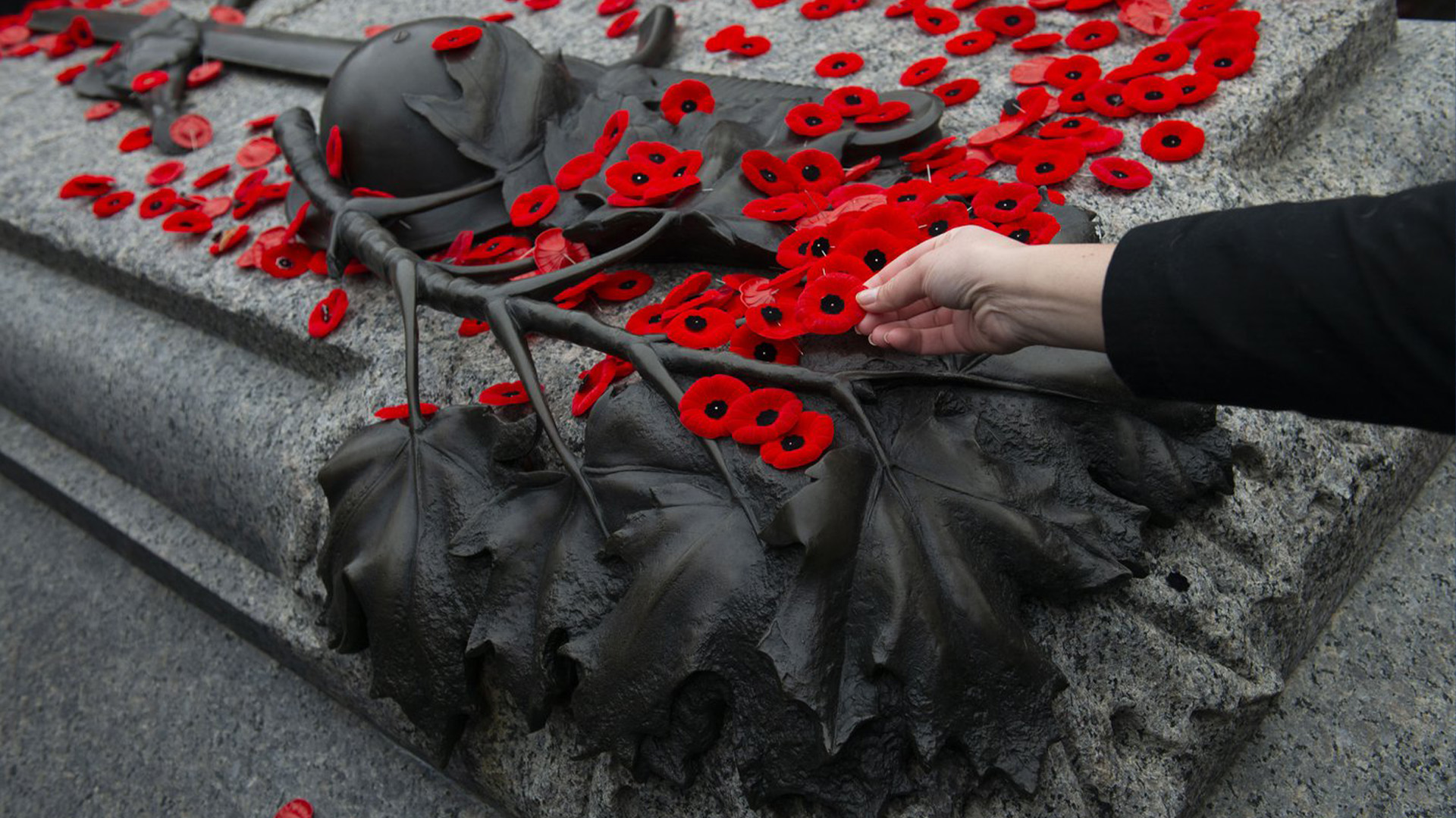 Un coquelicot est placé sur la tombe du soldat inconnu à la suite d'une cérémonie du jour du Souvenir au Monument commémoratif de guerre du Canada à Ottawa le lundi 11 novembre 2019. 