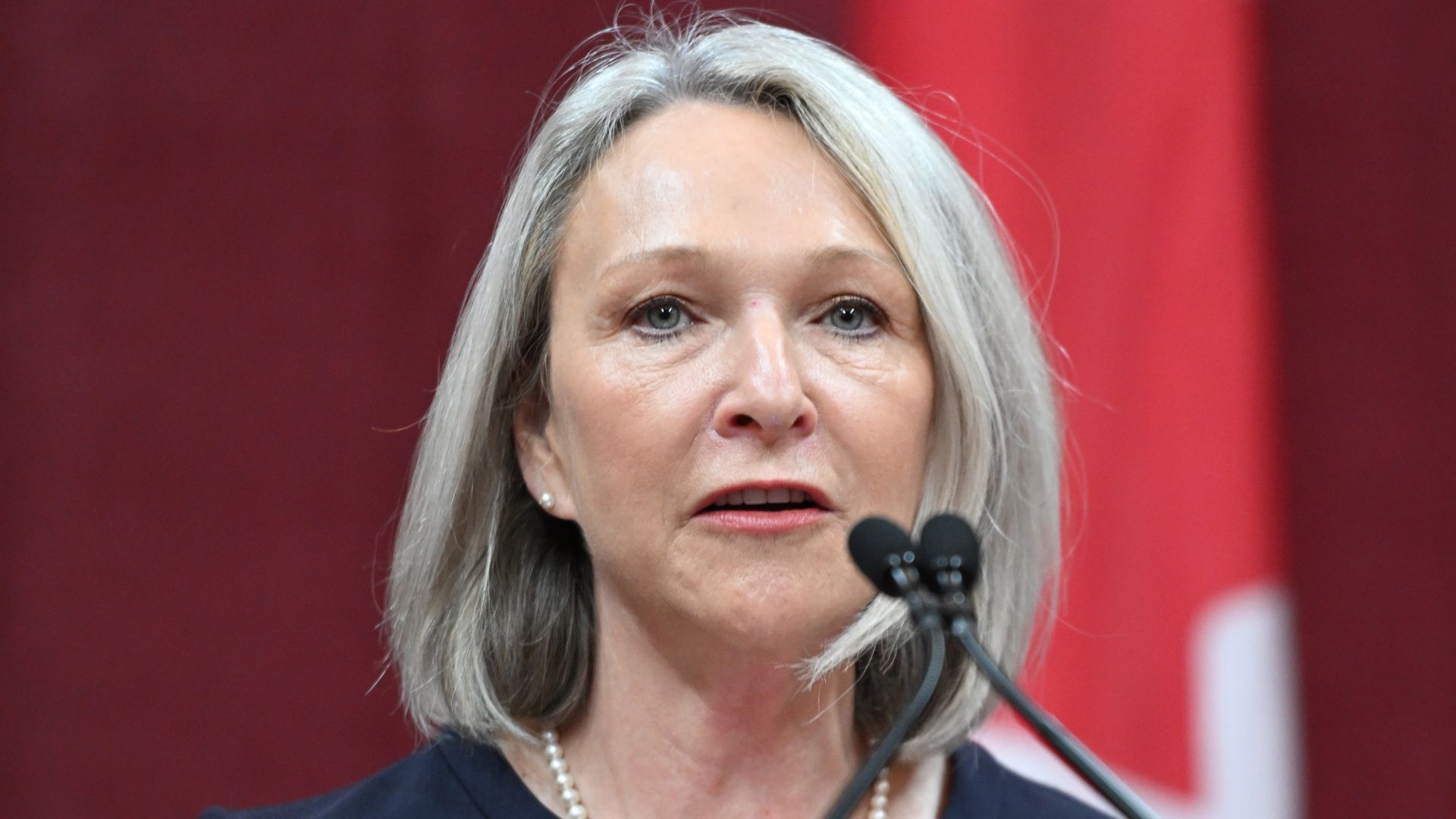 La ministre déléguée à la Santé et aux Aînés, Sonia Bélanger.