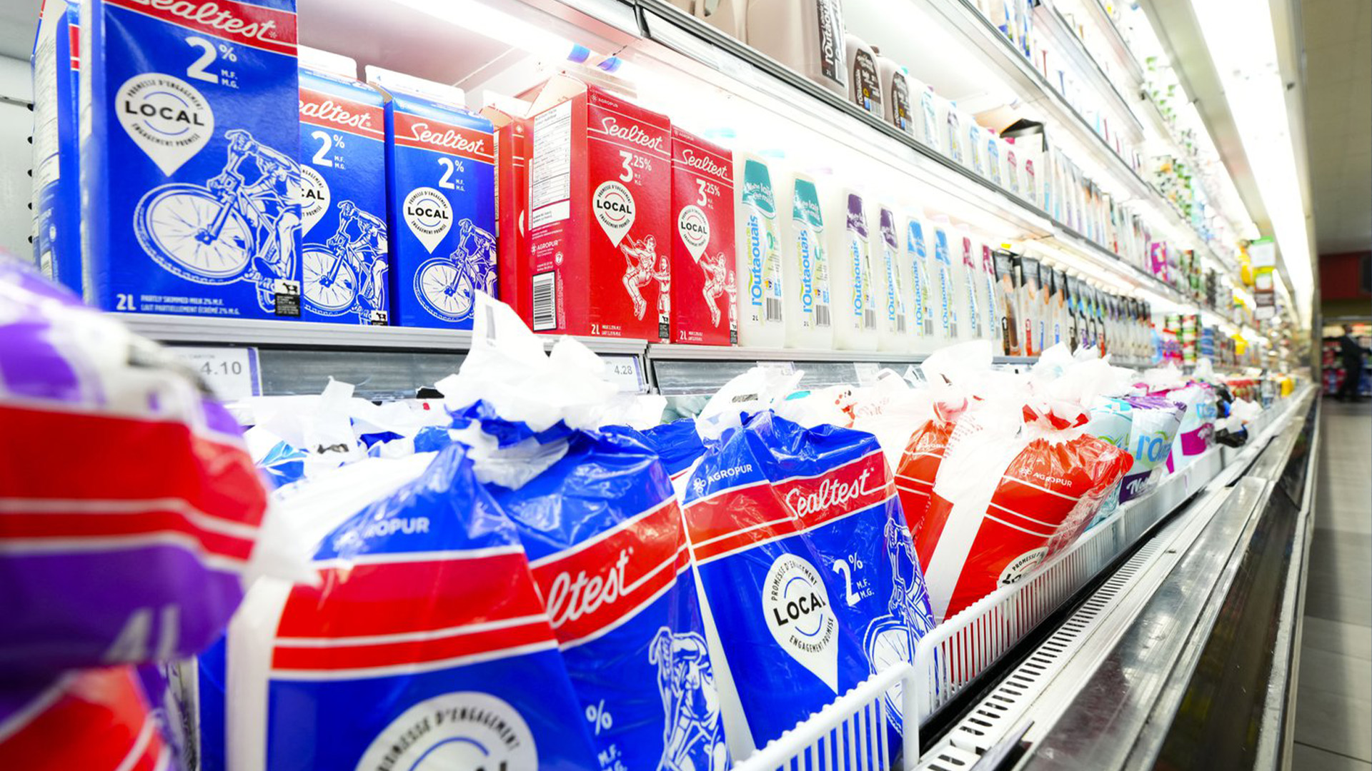 De nouveaux chiffres montrent que l’inflation de l’épicerie au Canada a de nouveau augmenté en novembre alors que le prix des produits de base comme le pain, les œufs et les produits laitiers a grimpé en flèche.