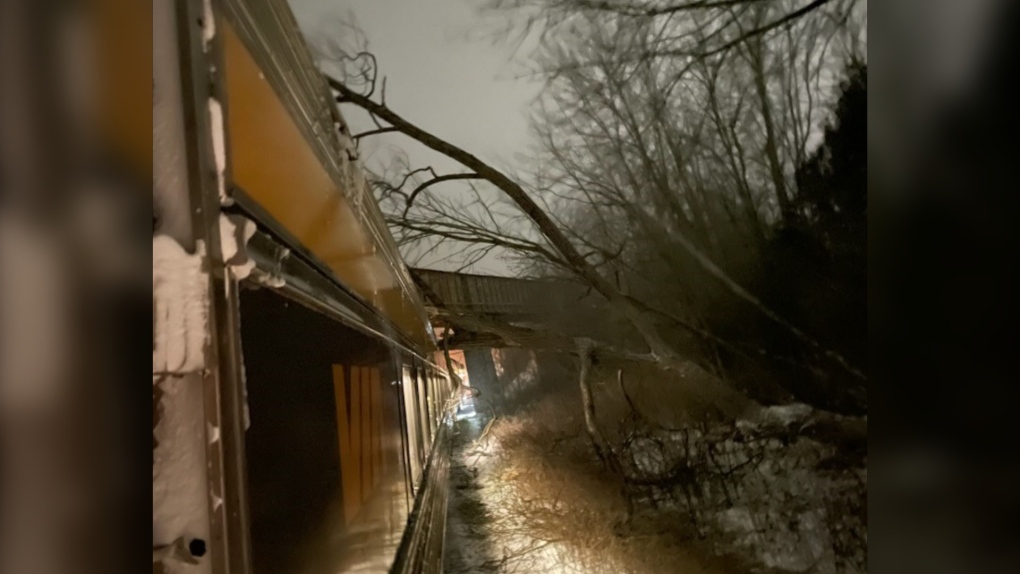 Un arbre bloque les voies ferrées à l'extérieur du train 55 près de Cobourg, en Ontario. Samedi 24 décembre 2022. 