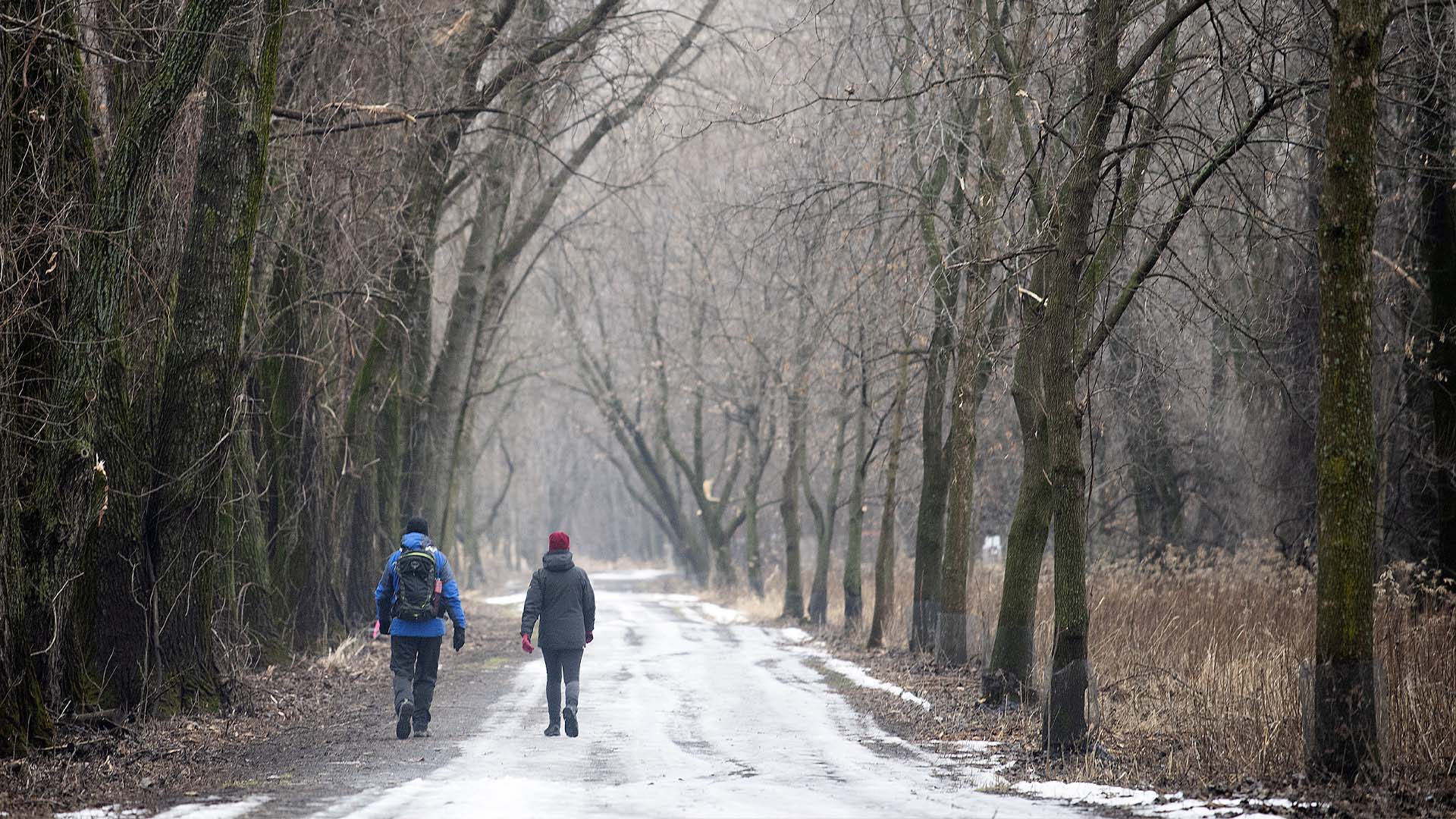 Des gens marchent le long d'un sentier dans le parc naturel de Boucherville, au sud de Montréal, le 2 janvier 2023.