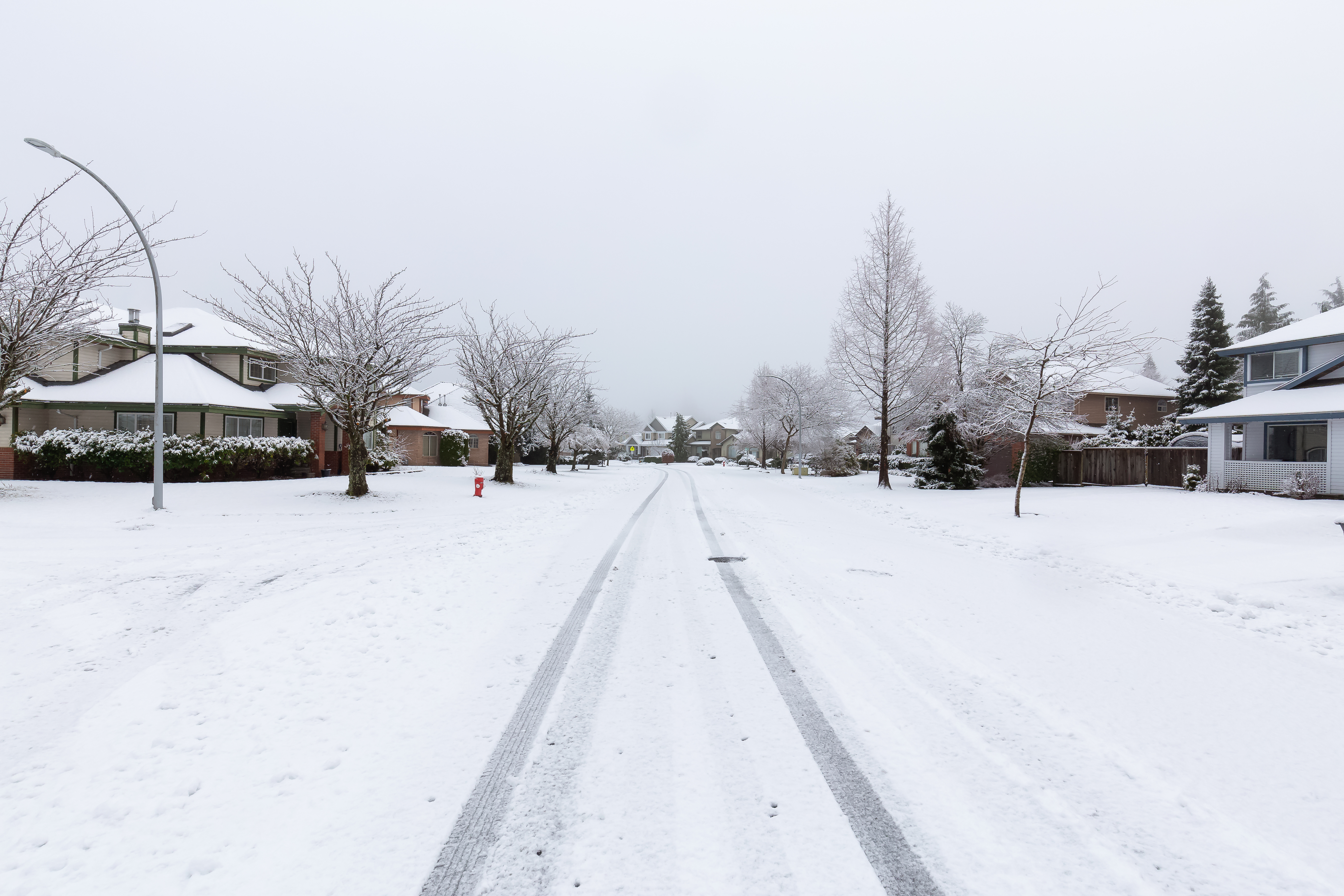 Residential Neighborhood in the Suburbs during a White Snow Storm