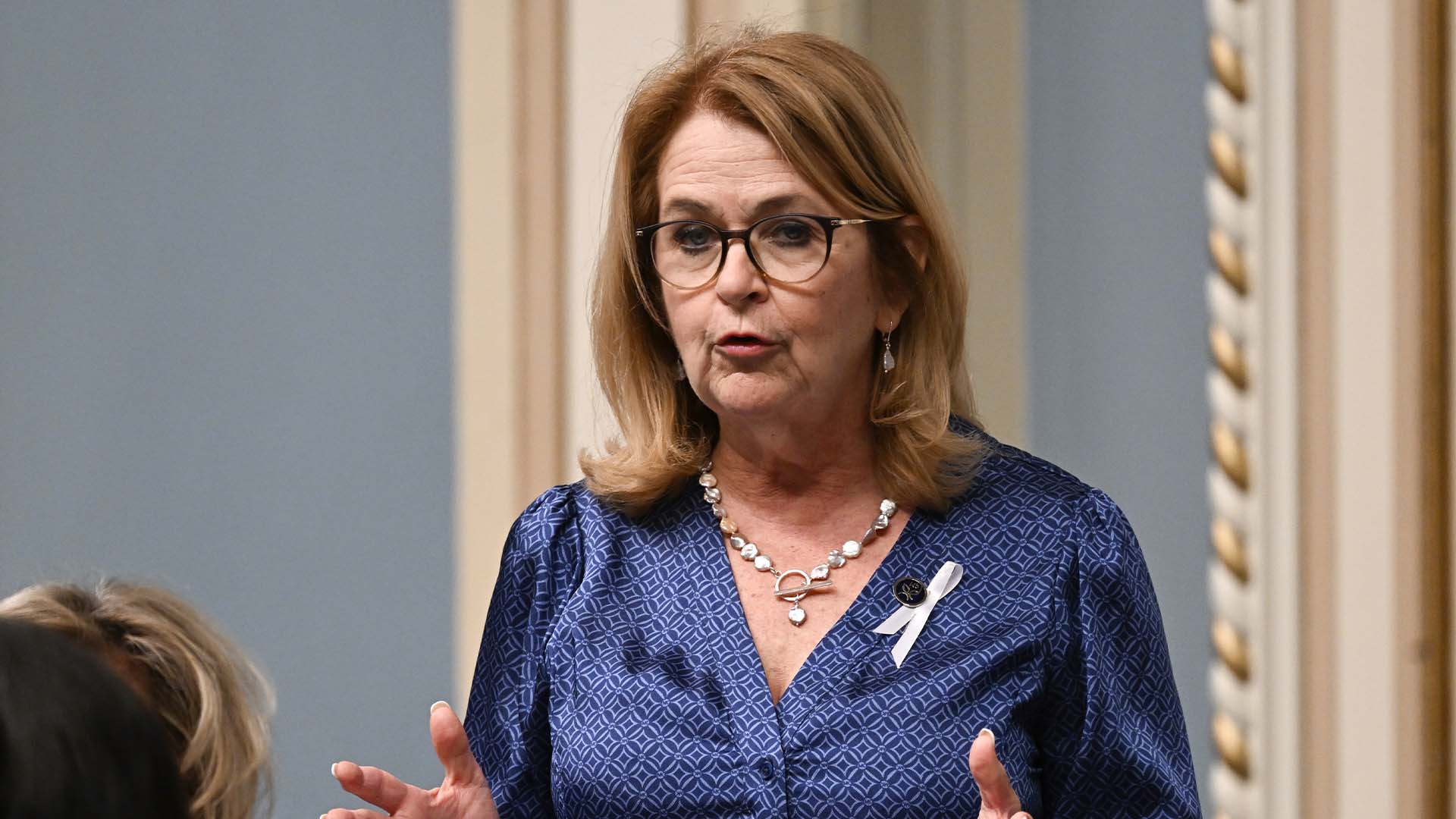 La ministre québécoise de la Famille, Suzanne Roy, répond à l'opposition lors de la période des questions, à l'Assemblée législative de Québec, le jeudi 1er décembre 2022.