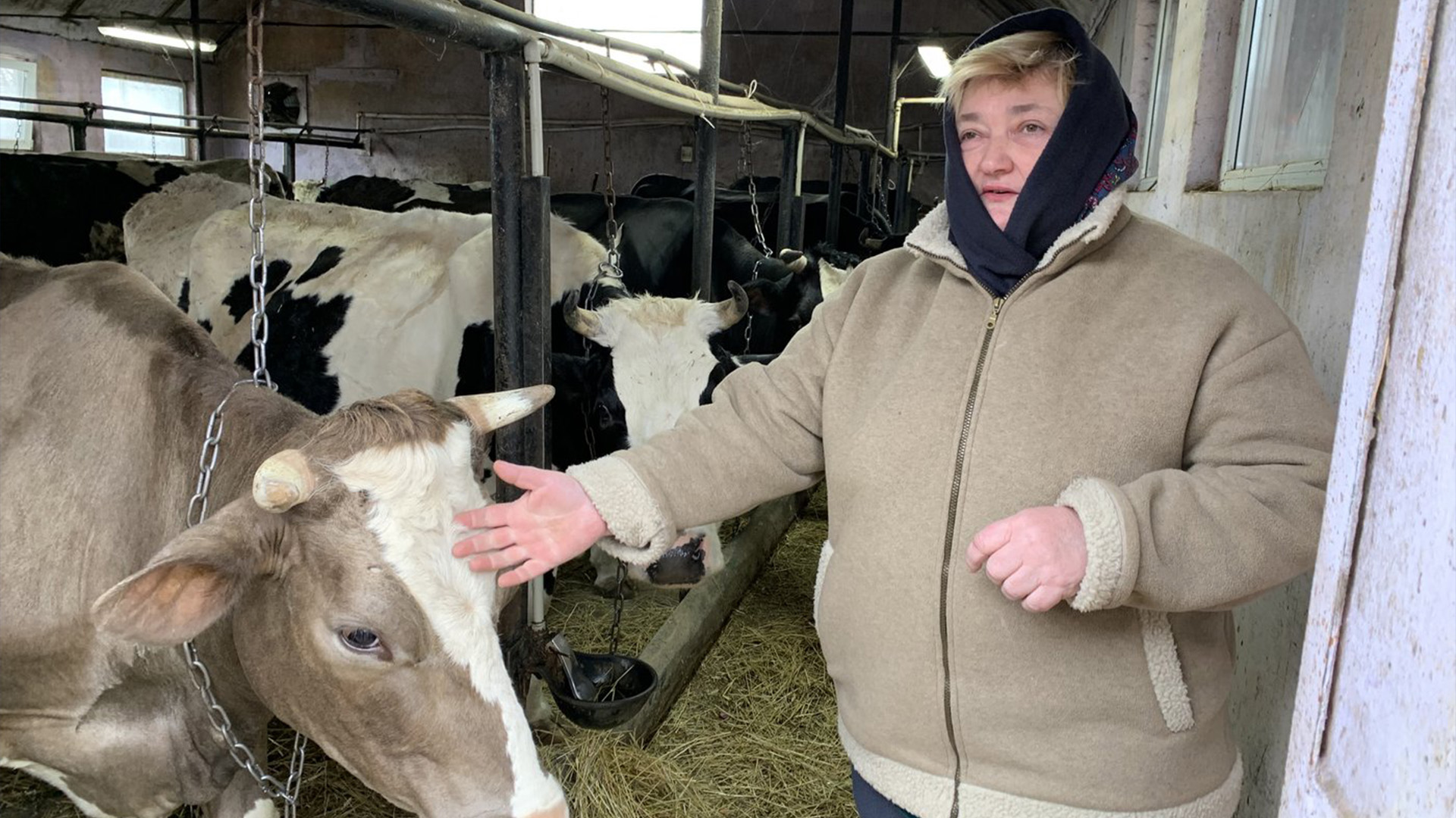 Lyuba Pastushok attribue son succès à la création dans sa communauté d'une coopérative inspirée d'Agropur, au Québec. En plus, une nouvelle usine laitière canadienne dans la région aidera probablement l'industrie locale à se développer encore plus.
