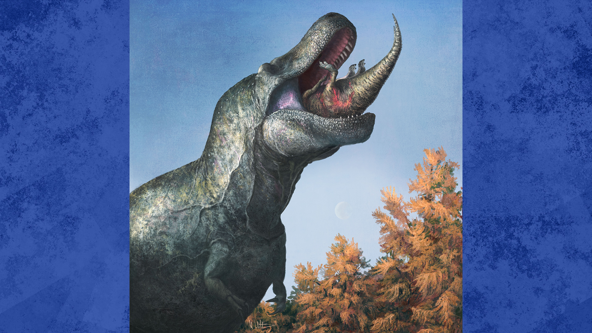 Les dents du dinosaure ne dépassaient pas lorsque sa bouche était fermée, et même dans le cas d'une morsure largement ouverte, il était possible d'en apercevoir les extrémités, ont constaté les scientifiques. 