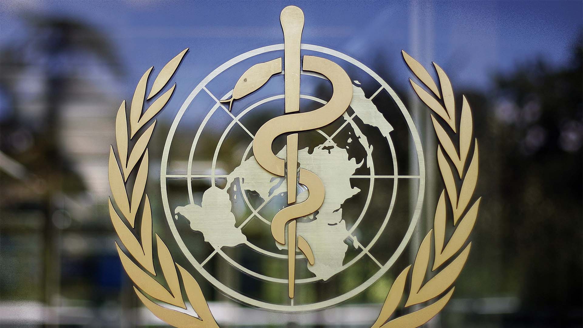 Le logo de l'Organisation mondiale de la santé est visible au siège de l'OMS à Genève.