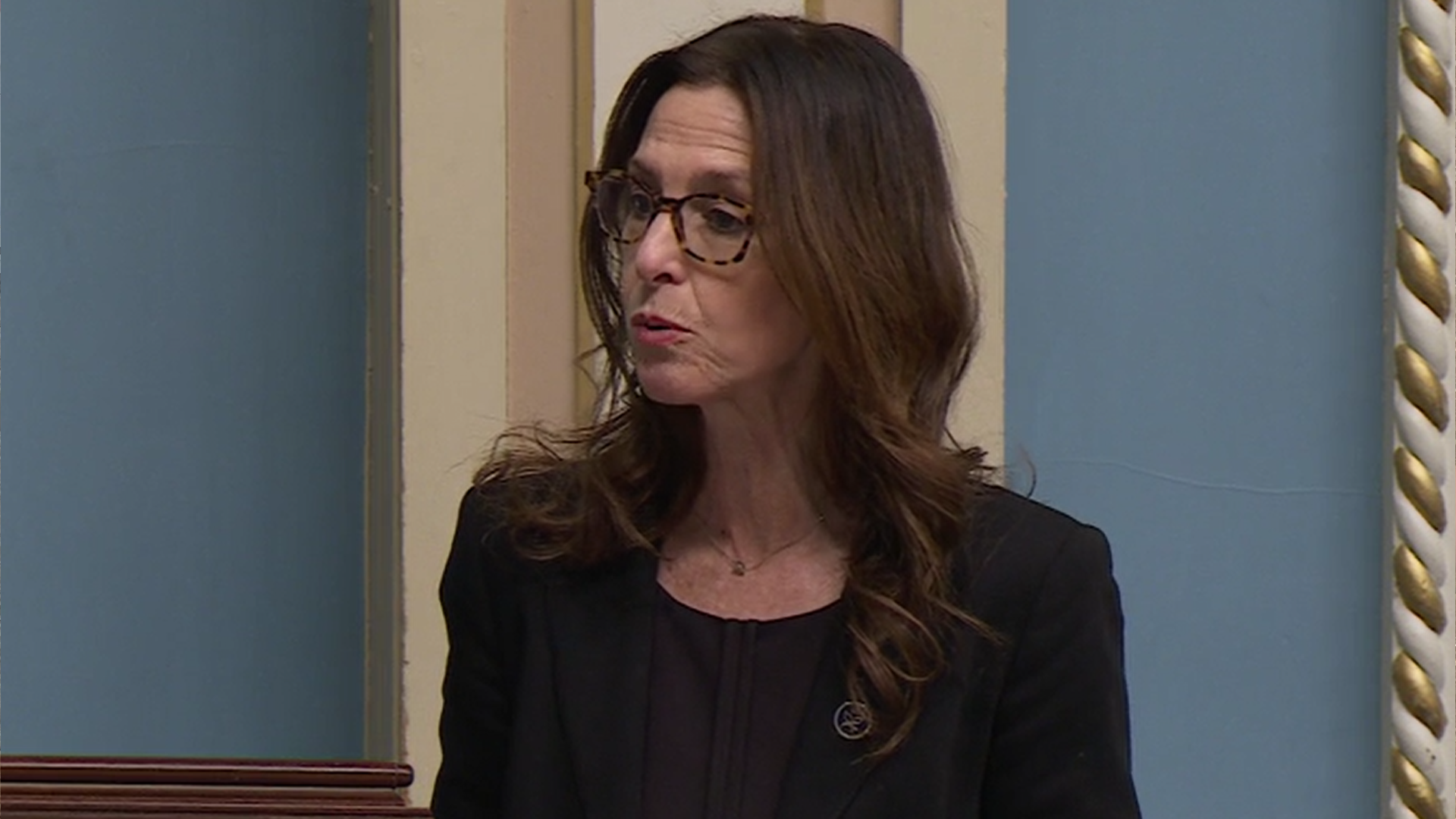 La députée libérale de Robert-Baldwin Brigitte Garceau réclame davantage d'investissement pour construire des maisons d'hébergement pour femmes victimes de violence.