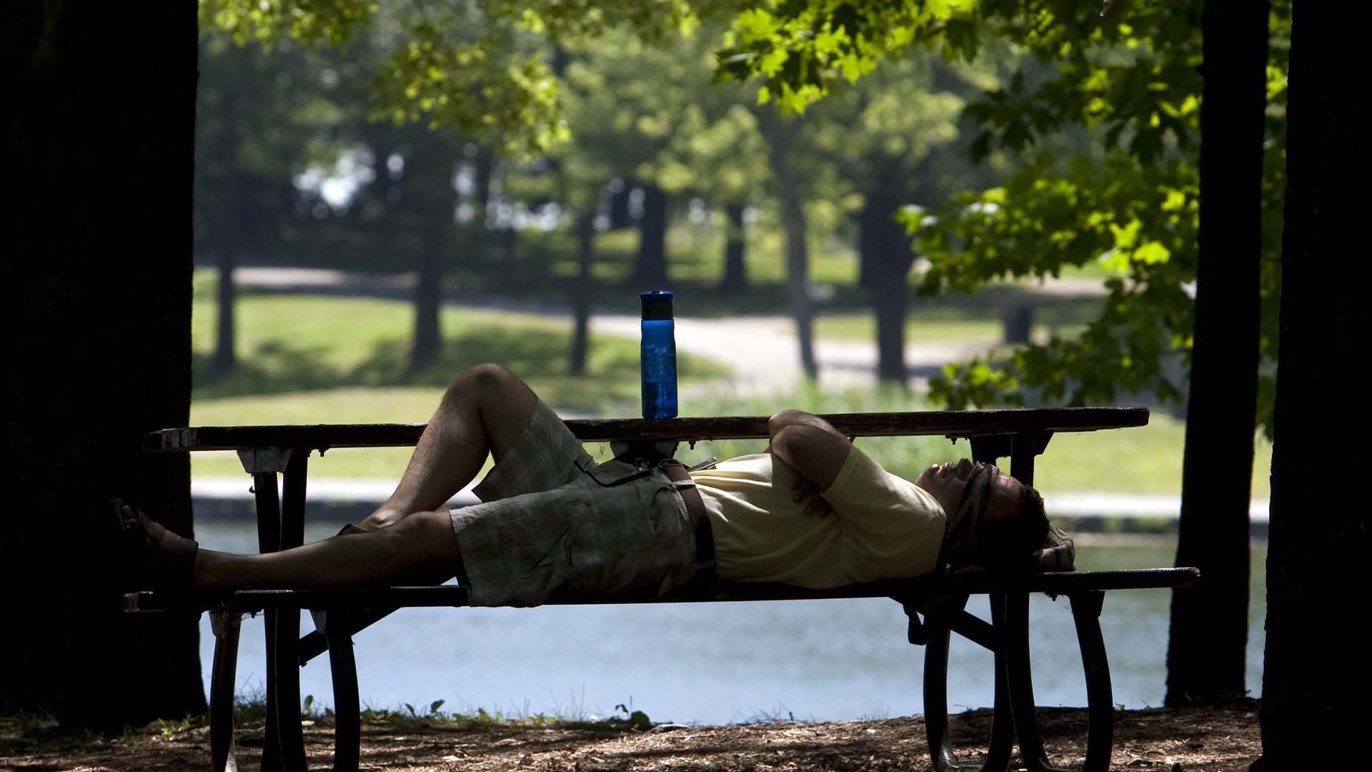 Un homme fait une sieste à l'ombre au lac des Castors sur le Mont-Royal le 22 juillet 2011 à Montréal.