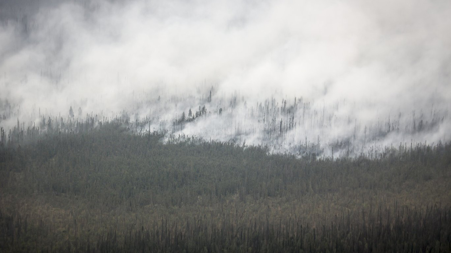 Un incendie de forêt brûle au sud d'Enterprise, dans les Territoires du Nord-Ouest, le jeudi 17 août 2023. Un responsable des incendies de forêt affirme que la ville de Hay River sera à risque au cours des prochains jours en raison de vents violents et de températures élevées qui rendront la situation dangereuse encore pire.