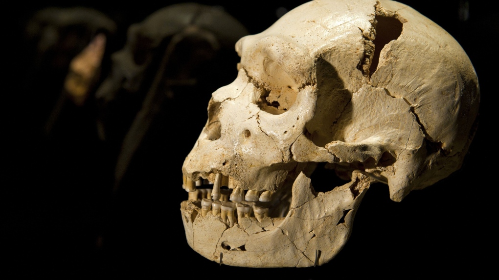 Researchers have found the moment when humanity almost went extinct