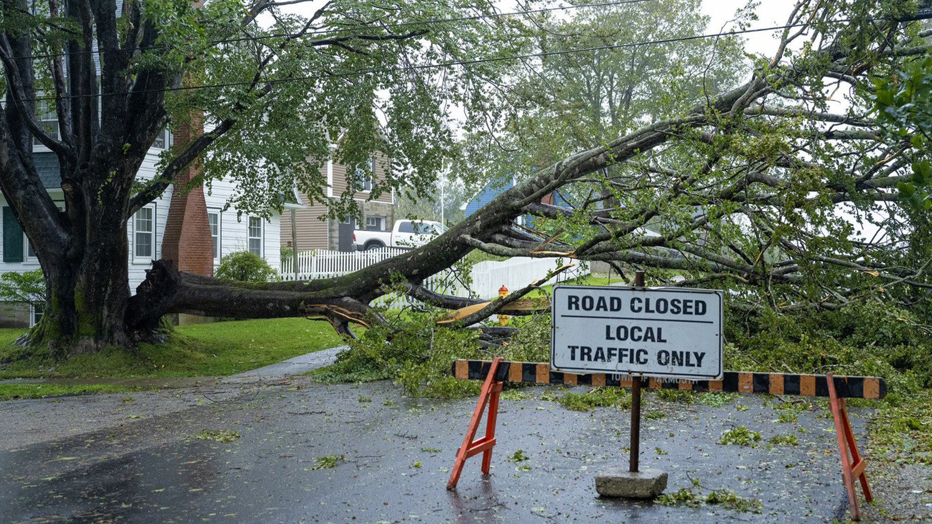 Un arbre abattu est accroché aux lignes électriques à l'approche de la tempête post-tropicale Lee à Yarmouth, en Nouvelle-Écosse. le samedi 16 septembre 2023.