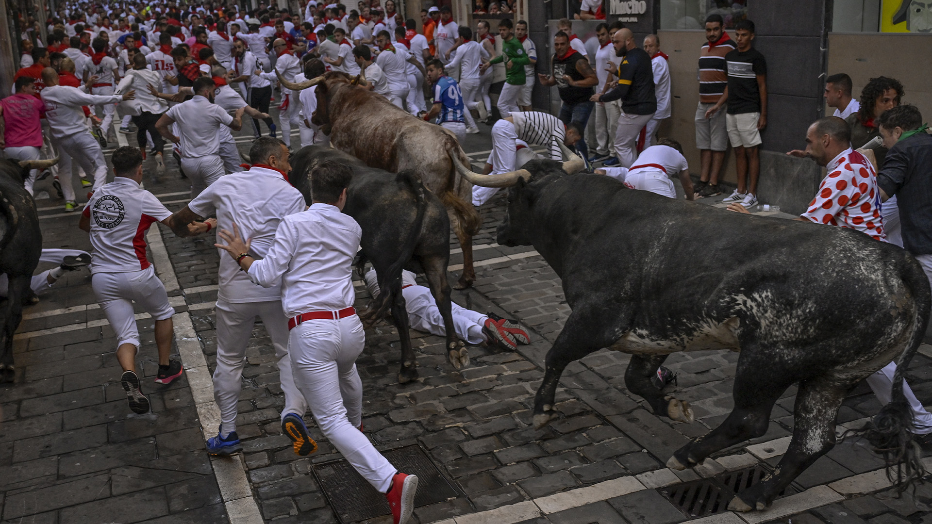 La nueva ley española refuerza los derechos de los animales, pero exime a las corridas de toros