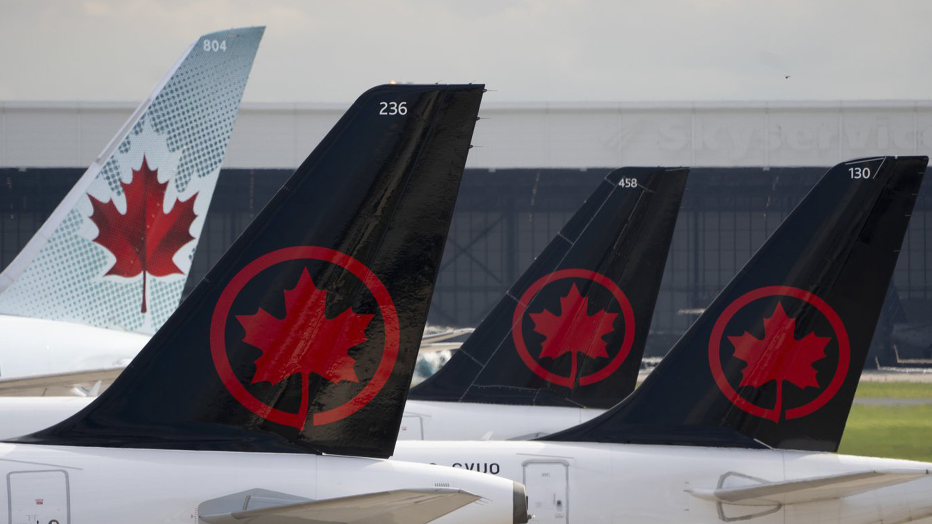Les pilotes d'Air Canada manifestent aujourd'hui à l'aéroport Pearson de Toronto pour réclamer de meilleurs salaires et de meilleures conditions de travail alors que les négociations avec la plus grande compagnie aérienne du pays se poursuivent. Les logos d'Air Canada sont visibles sur les queues des avions à l'aéroport de Montréal, au Québec, le lundi 26 juin 2023.