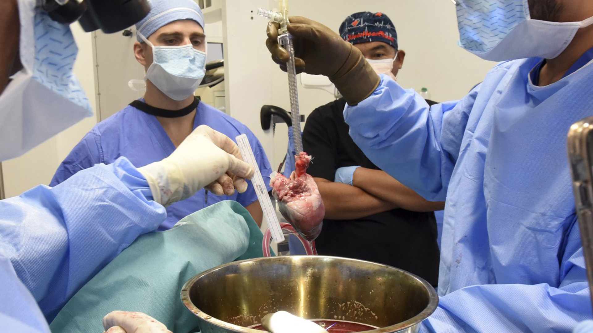 Transplant Québec invite le gouvernement du Québec à revoir les lois et à mettre en place des processus efficaces pour hausser les taux de don d'organes.