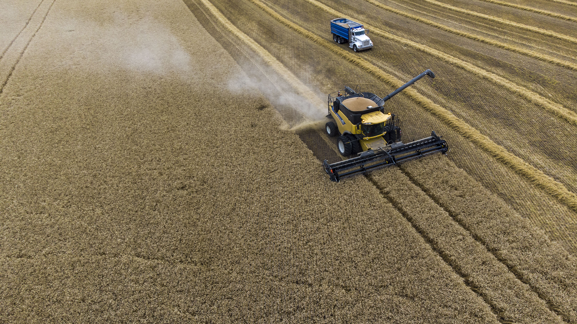 La famille Reid récolte du blé près de Cremona, en Alberta, le mardi 19 septembre 2023.