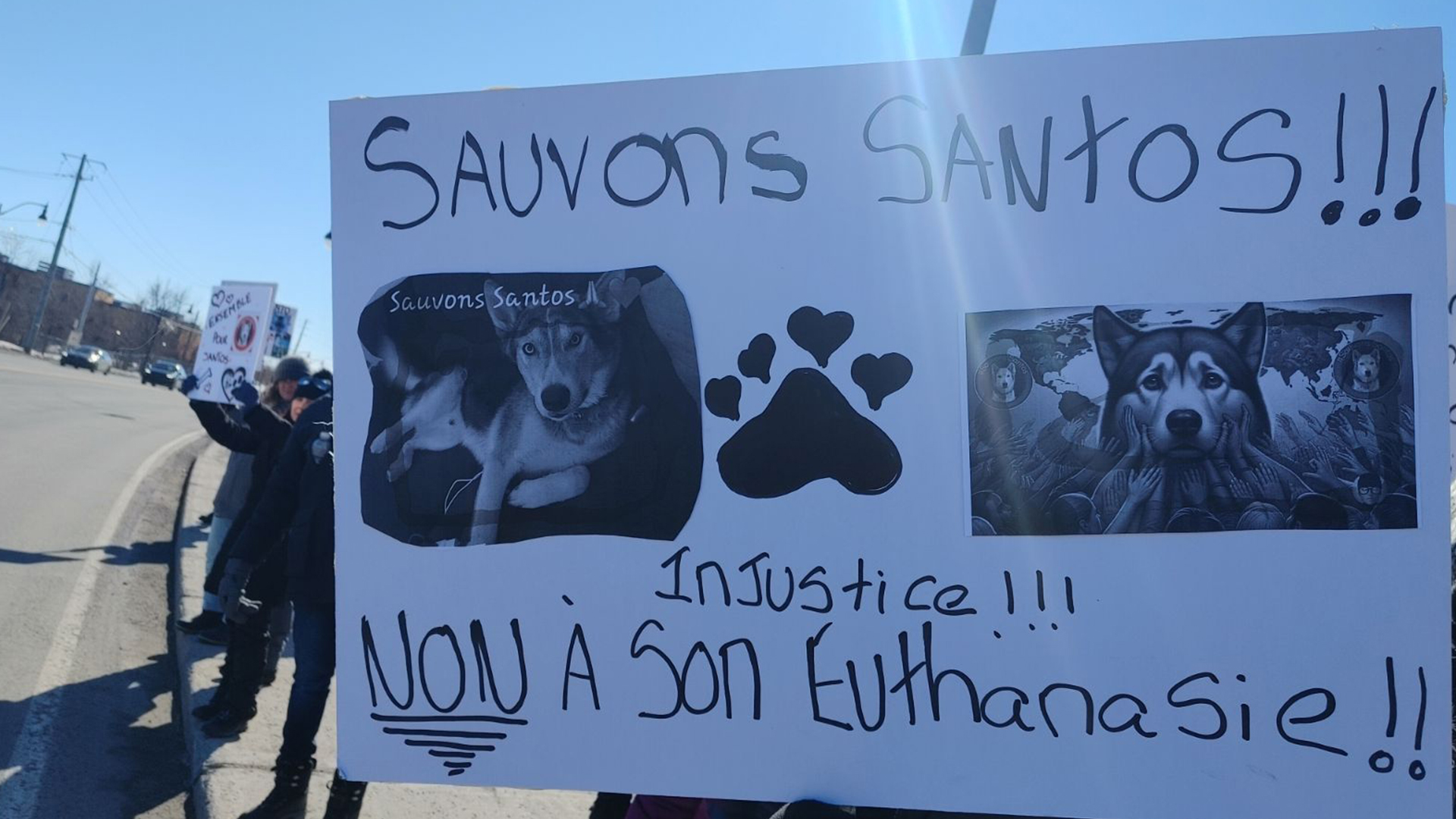 Demonstration in front of Legault offices to save a dog from euthanasia