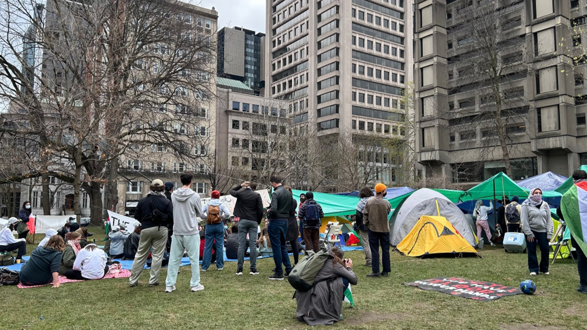 Plus de 30 tentes ont été installées sur le terrain en inférieur du campus de l'Université McGill le 28 avril 2024.