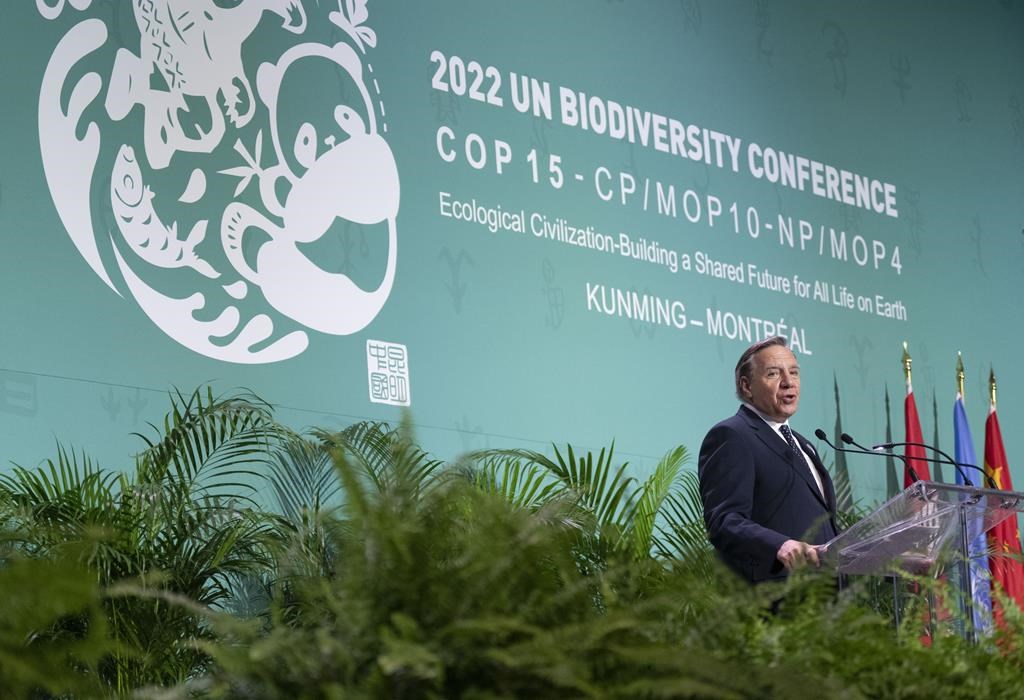 Québec annonce le début du «chantier de réflexion» sur le Plan Nature 2030, un investissement de 650 millions $ annoncé en décembre dernier par le premier ministre Legault lors de la COP15 sur la biodiversité qui avait lieu à Montréal.