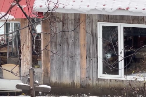 Homicide à Baie-Saint-Paul: un homme arrêté