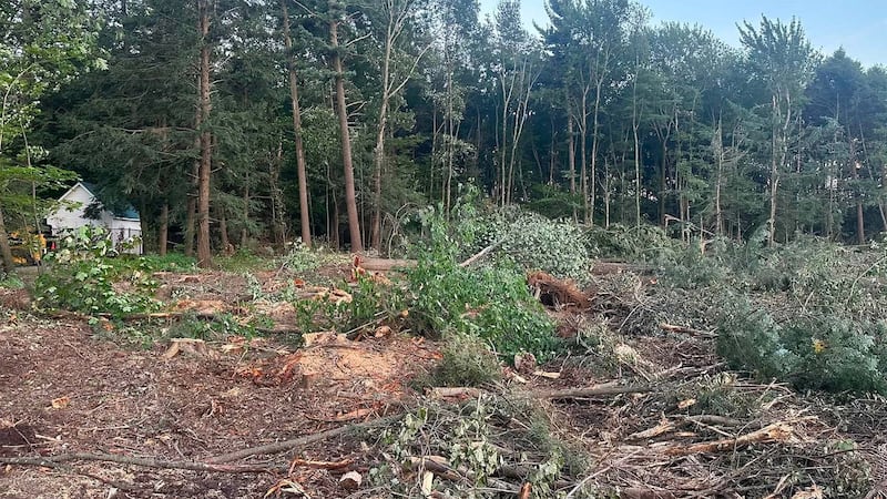 Des travaux de déboisement ont eu lieu à Mascouche au début d'août 2026 au coin du chemin des Anglais et de l'avenue de l'Esplanade. Les lieux accueilleront une épicerie et une pharmacie.