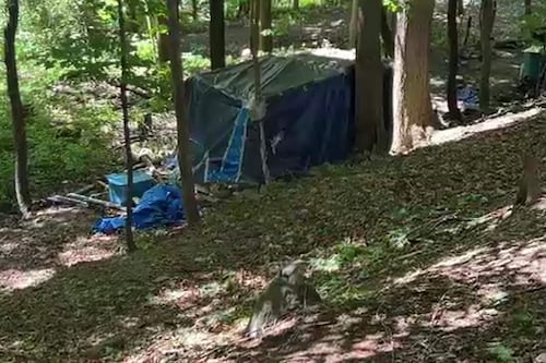 Itinérance: des campements érigés aux abords de la rivière Yamaska à Granby