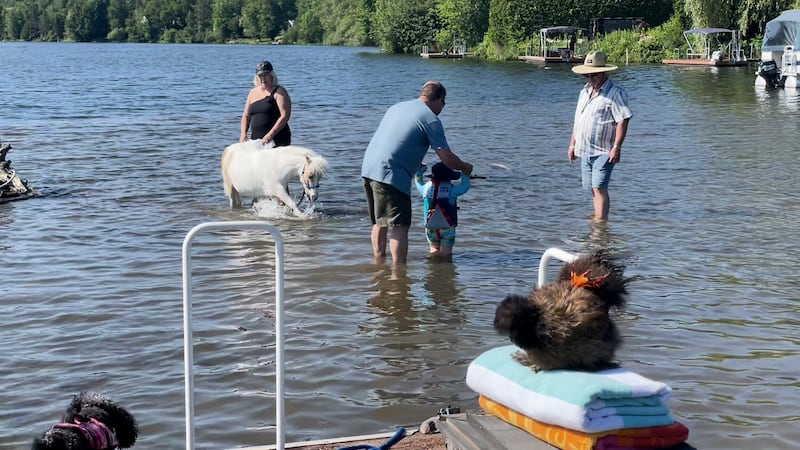 Tout au long de l'année, l'équipe de Toutous Poilus visite les résidences pour aînés pour apporter du réconfort. Mais pendant l'été, place aux vacances !