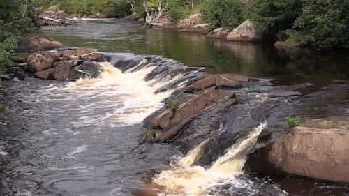 Un homme se noie au Parc Rivière-du-Moulin à Saguenay