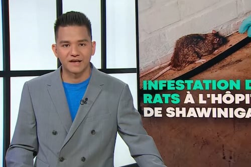 L'hôpital à Shawinigan aux prises avec un problème de rats
