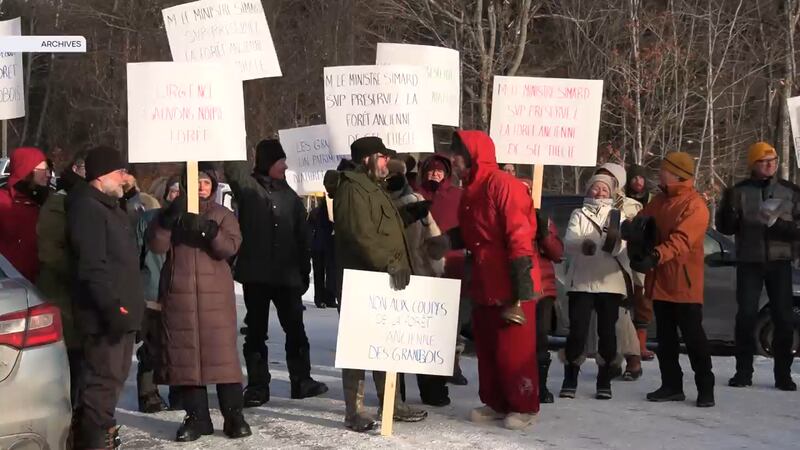 Un groupe de citoyens milite pour la protection de la forêt des lacs Grandbois en Mauricie. Photo non datée.