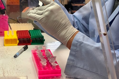 Hantavirus: quels sont les risques pour les Québécois?