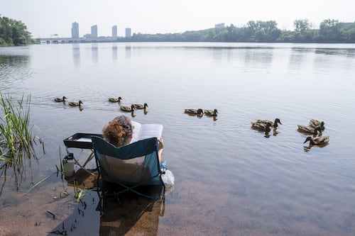 Canicule au Québec: les trucs à savoir avant de faire face à la chaleur