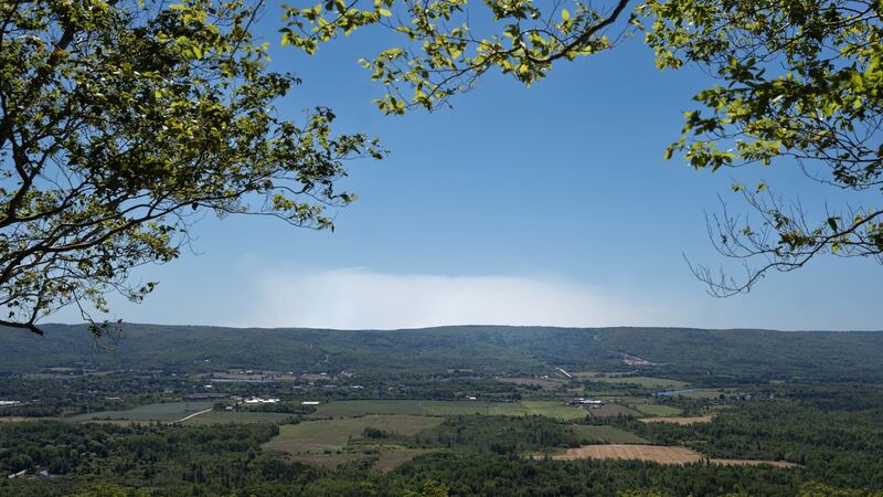 La Cour juge que l'interdiction d'accéder aux forêts de la N.-É. était déraisonnable