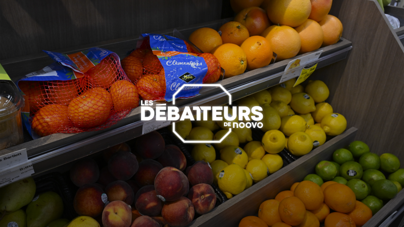 QUESTION DU JOUR | Pour ou contre des épiceries publiques pour diminuer le coût du panier d’épicerie?